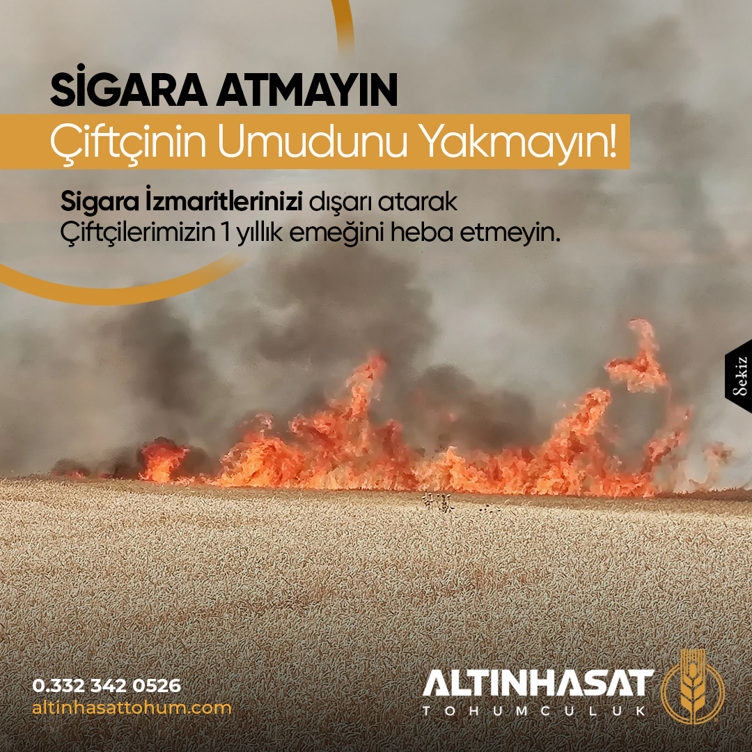 altınhasattohum, altın hasat tohum, altınhasat tohum, tohum konya, altınhasat konya, altınhasat tohum ve gübre, çiftçi tohum, çiftçilik, tohumuculuk, konya tohum gübre ilaç, konya tarım firmaları, altınhasat tarım, ilaç sanayi, kafalı tohum, kafalı tohumculuk konya, servet kafalı, mustafa kafalı, konya tohum ve gübre işletmeleri, ali kafalı, alp tarım,tohum,gübre,ilaç,satış,zirai,tahıl,ekmeklik,makarnalık,kuru fasulye, silajlık, üretici, üretim, acar ekmeklik buğday, durusa makarnalık buğday, tarm-92 konya, larende tohum, burakbey arpa tohumu, arpa tohumu, mısır tohumu, pancar tohumu, ayçiçek tohumu, ekmeklik buğday tohumu, ilaçlama