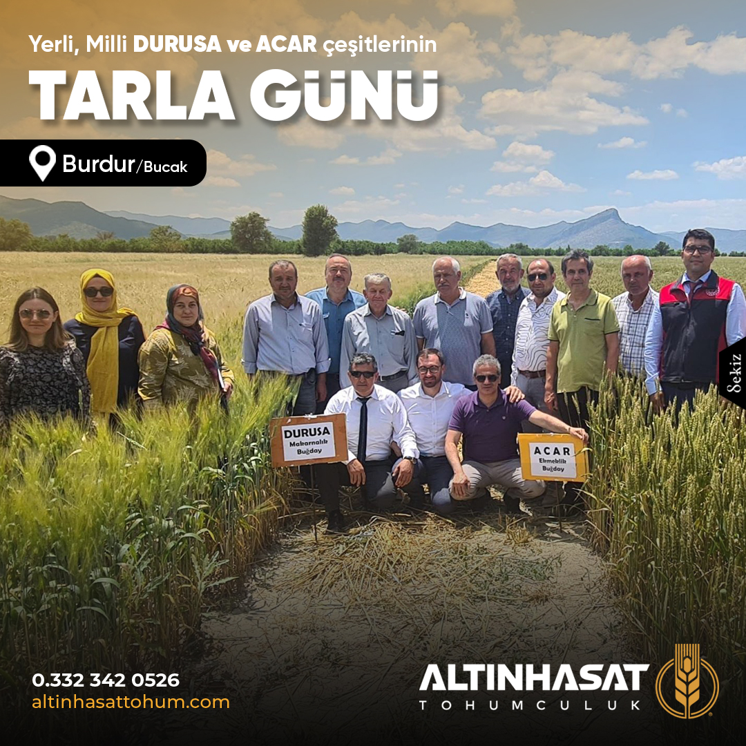 altınhasattohum, altın hasat tohum, altınhasat tohum, tohum konya, altınhasat konya, altınhasat tohum ve gübre, çiftçi tohum, çiftçilik, tohumuculuk, konya tohum gübre ilaç, konya tarım firmaları, altınhasat tarım, ilaç sanayi, kafalı tohum, kafalı tohumculuk konya, servet kafalı, mustafa kafalı, konya tohum ve gübre işletmeleri, ali kafalı, alp tarım,tohum,gübre,ilaç,satış,zirai,tahıl,ekmeklik,makarnalık,kuru fasulye, silajlık, üretici, üretim, acar ekmeklik buğday, durusa makarnalık buğday, tarm-92 konya, larende tohum, burakbey arpa tohumu, arpa tohumu, mısır tohumu, pancar tohumu, ayçiçek tohumu, ekmeklik buğday tohumu, ilaçlama