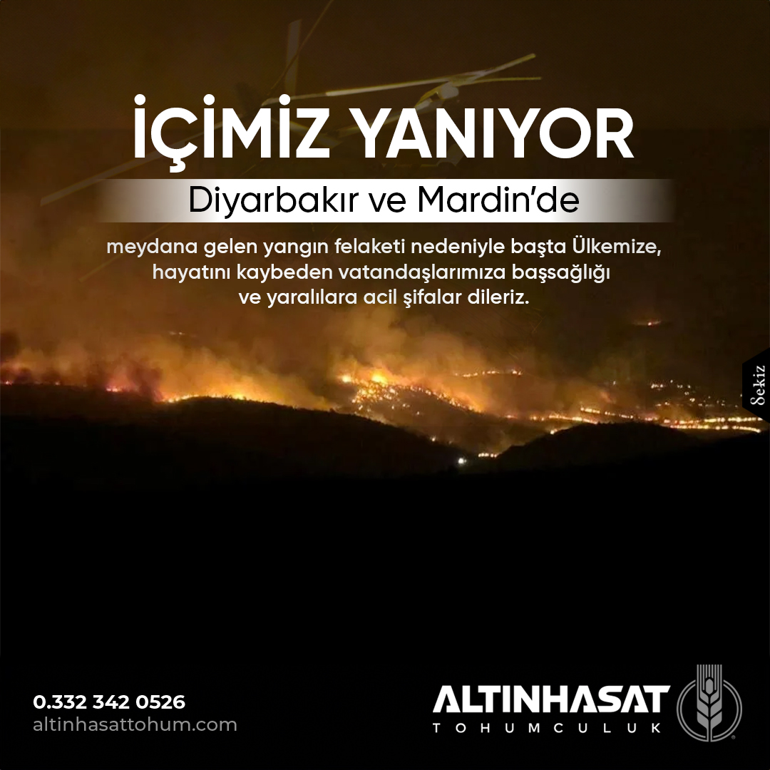 altınhasattohum, altın hasat tohum, altınhasat tohum, tohum konya, altınhasat konya, altınhasat tohum ve gübre, çiftçi tohum, çiftçilik, tohumuculuk, konya tohum gübre ilaç, konya tarım firmaları, altınhasat tarım, ilaç sanayi, kafalı tohum, kafalı tohumculuk konya, servet kafalı, mustafa kafalı, konya tohum ve gübre işletmeleri, ali kafalı, alp tarım,tohum,gübre,ilaç,satış,zirai,tahıl,ekmeklik,makarnalık,kuru fasulye, silajlık, üretici, üretim, acar ekmeklik buğday, durusa makarnalık buğday, tarm-92 konya, larende tohum, burakbey arpa tohumu, arpa tohumu, mısır tohumu, pancar tohumu, ayçiçek tohumu, ekmeklik buğday tohumu, ilaçlama