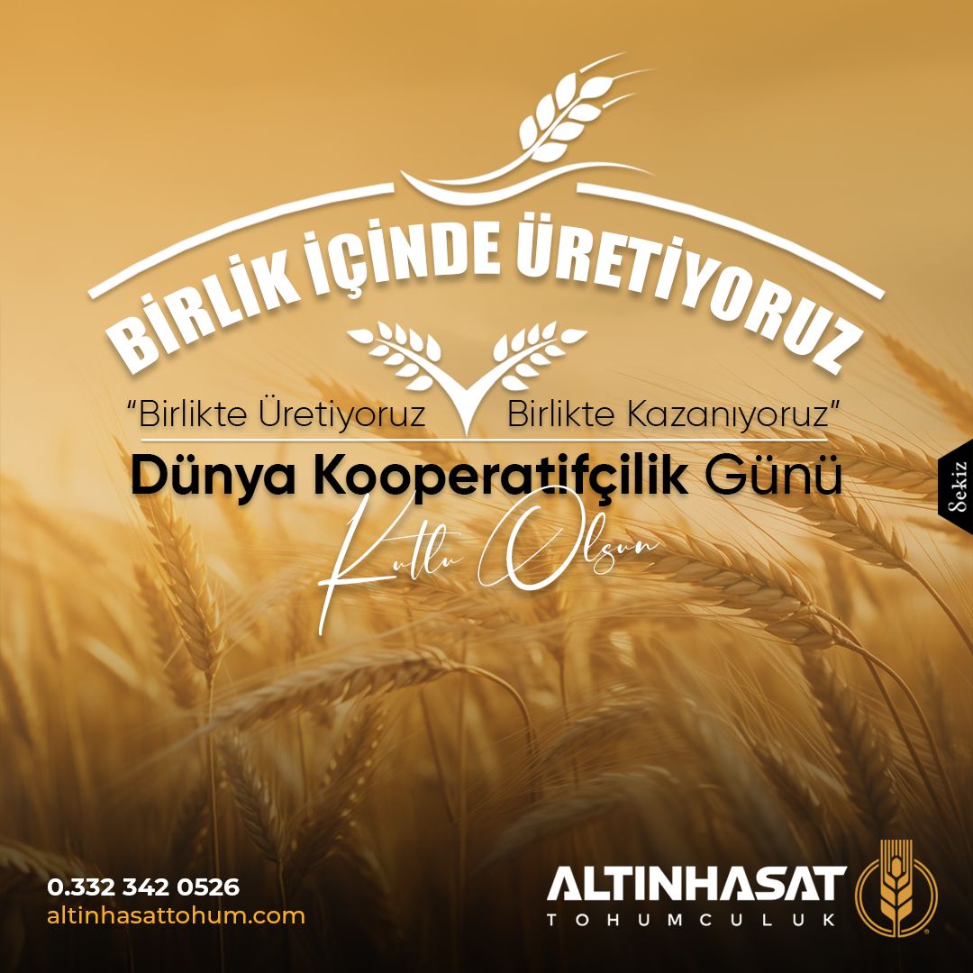 altınhasattohum, altın hasat tohum, altınhasat tohum, tohum konya, altınhasat konya, altınhasat tohum ve gübre, çiftçi tohum, çiftçilik, tohumuculuk, konya tohum gübre ilaç, konya tarım firmaları, altınhasat tarım, ilaç sanayi, kafalı tohum, kafalı tohumculuk konya, servet kafalı, mustafa kafalı, konya tohum ve gübre işletmeleri, ali kafalı, alp tarım,tohum,gübre,ilaç,satış,zirai,tahıl,ekmeklik,makarnalık,kuru fasulye, silajlık, üretici, üretim, acar ekmeklik buğday, durusa makarnalık buğday, tarm-92 konya, larende tohum, burakbey arpa tohumu, arpa tohumu, mısır tohumu, pancar tohumu, ayçiçek tohumu, ekmeklik buğday tohumu, ilaçlama