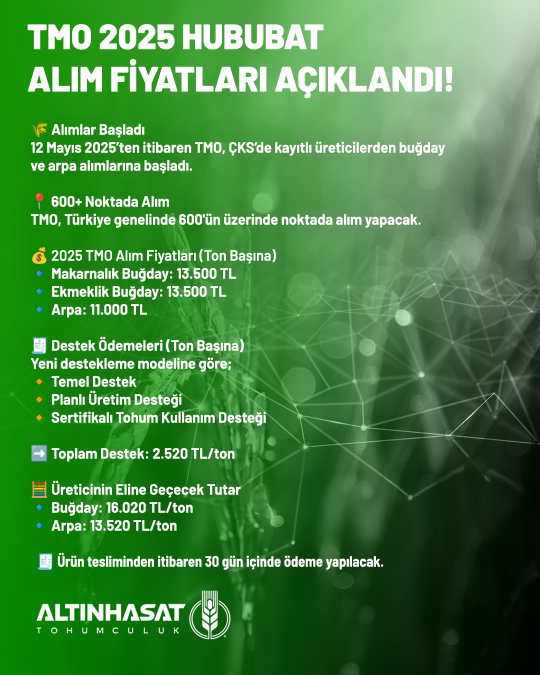 altınhasattohum, altın hasat tohum, altınhasat tohum, tohum konya, altınhasat konya, altınhasat tohum ve gübre, çiftçi tohum, çiftçilik, tohumuculuk, konya tohum gübre ilaç, konya tarım firmaları, altınhasat tarım, ilaç sanayi, kafalı tohum, kafalı tohumculuk konya, servet kafalı, mustafa kafalı, konya tohum ve gübre işletmeleri, ali kafalı, alp tarım,tohum,gübre,ilaç,satış,zirai,tahıl,ekmeklik,makarnalık,kuru fasulye, silajlık, üretici, üretim, acar ekmeklik buğday, durusa makarnalık buğday, tarm-92 konya, larende tohum, burakbey arpa tohumu, arpa tohumu, mısır tohumu, pancar tohumu, ayçiçek tohumu, ekmeklik buğday tohumu, ilaçlama