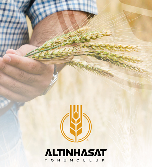 altınhasattohum, altın hasat tohum, altınhasat tohum, tohum konya, altınhasat konya, altınhasat tohum ve gübre, çiftçi tohum, çiftçilik, tohumuculuk, konya tohum gübre ilaç, konya tarım firmaları, altınhasat tarım, ilaç sanayi, kafalı tohum, kafalı tohumculuk konya, servet kafalı, mustafa kafalı, konya tohum ve gübre işletmeleri, ali kafalı, alp tarım,tohum,gübre,ilaç,satış,zirai,tahıl,ekmeklik,makarnalık,kuru fasulye, silajlık, üretici, üretim, acar ekmeklik buğday, durusa makarnalık buğday, tarm-92 konya, larende tohum, burakbey arpa tohumu, arpa tohumu, mısır tohumu, pancar tohumu, ayçiçek tohumu, ekmeklik buğday tohumu, ilaçlama