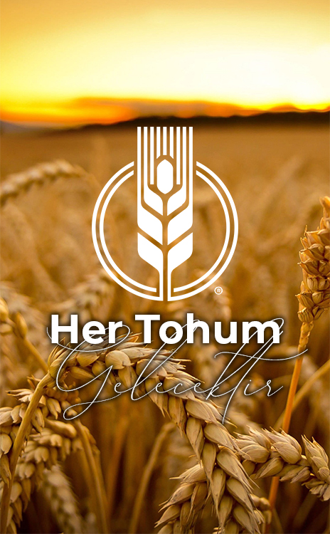 altınhasattohum, altın hasat tohum, altınhasat tohum, tohum konya, altınhasat konya, altınhasat tohum ve gübre, çiftçi tohum, çiftçilik, tohumuculuk, konya tohum gübre ilaç, konya tarım firmaları, altınhasat tarım, ilaç sanayi, kafalı tohum, kafalı tohumculuk konya, servet kafalı, mustafa kafalı, konya tohum ve gübre işletmeleri, ali kafalı, alp tarım,tohum,gübre,ilaç,satış,zirai,tahıl,ekmeklik,makarnalık,kuru fasulye, silajlık, üretici, üretim, acar ekmeklik buğday, durusa makarnalık buğday, tarm-92 konya, larende tohum, burakbey arpa tohumu, arpa tohumu, mısır tohumu, pancar tohumu, ayçiçek tohumu, ekmeklik buğday tohumu, ilaçlama